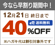 今なら早割りキャンペーン中！